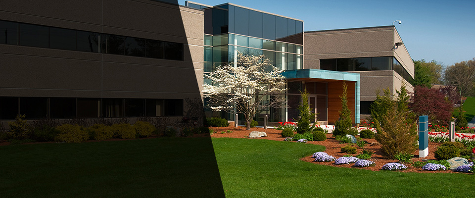 Doyline Landscapers