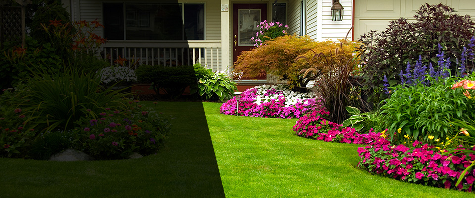 Doyline Landscapers