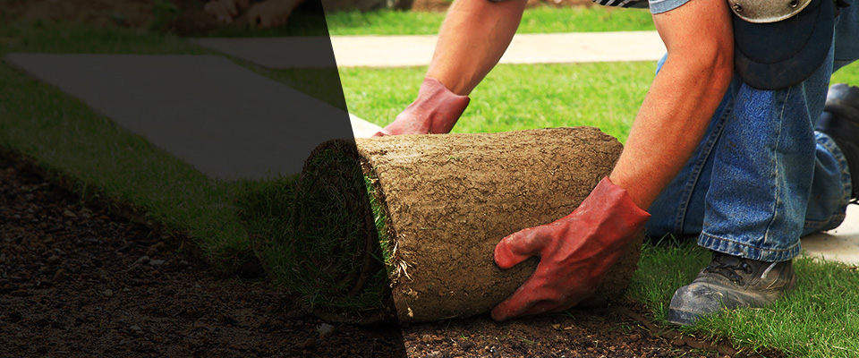 Doyline Landscapers